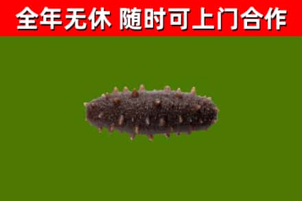 安居区烟酒回收干海参.jpg